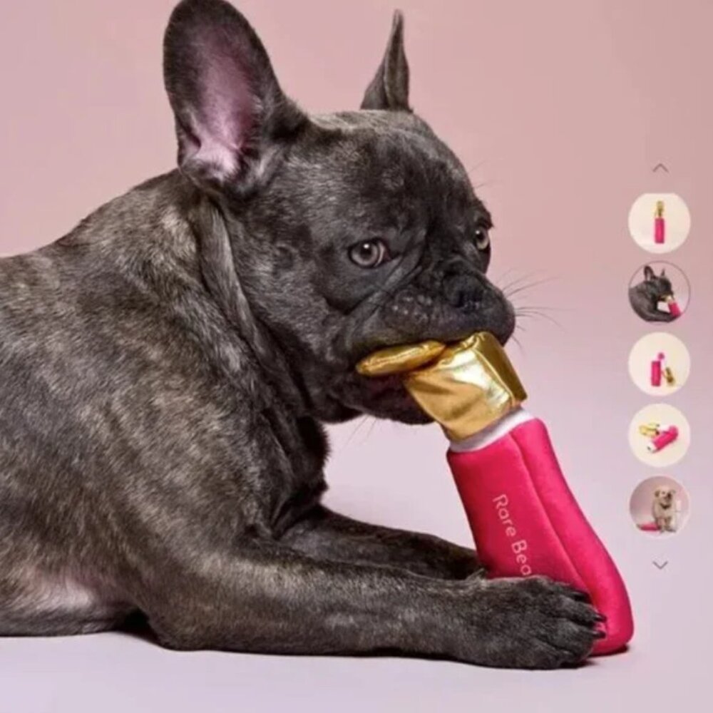 NWT Rare Beauty by Selena Gomez Soft Pooch Blush Dog Toy
